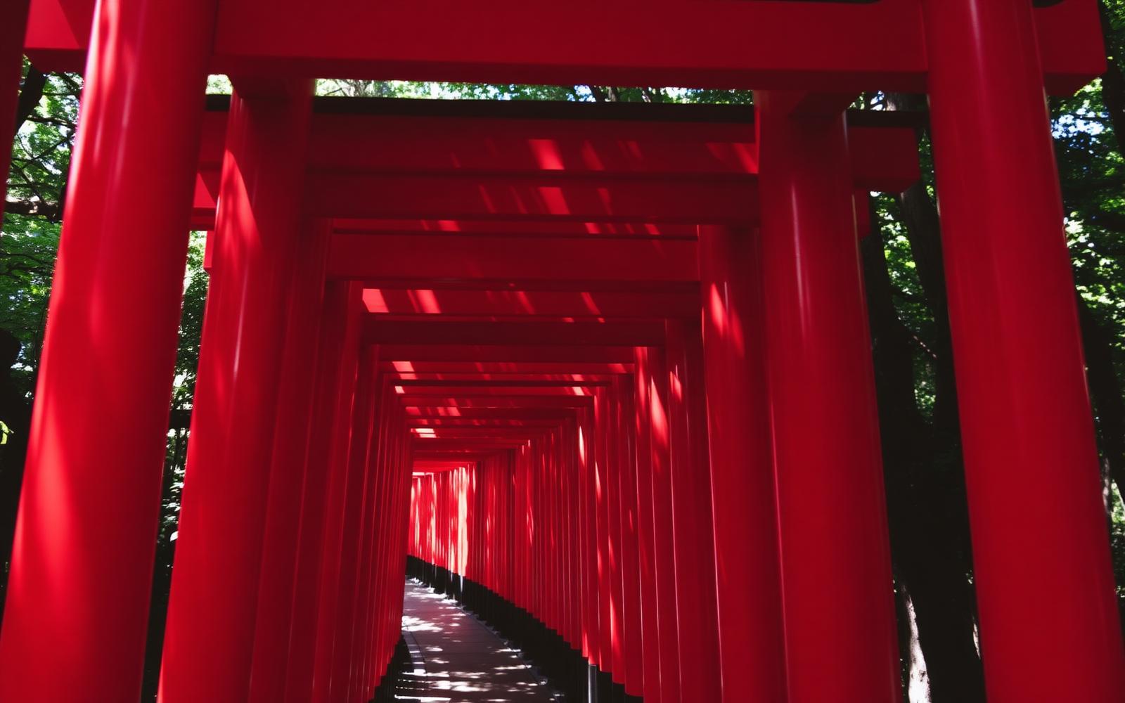 Japan, Japan — Bullet trains, cherry blossoms and shrines